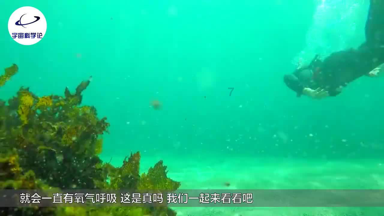 原子弹爆炸后“一百年不能住人”,为何广岛和长崎的居民从未搬走