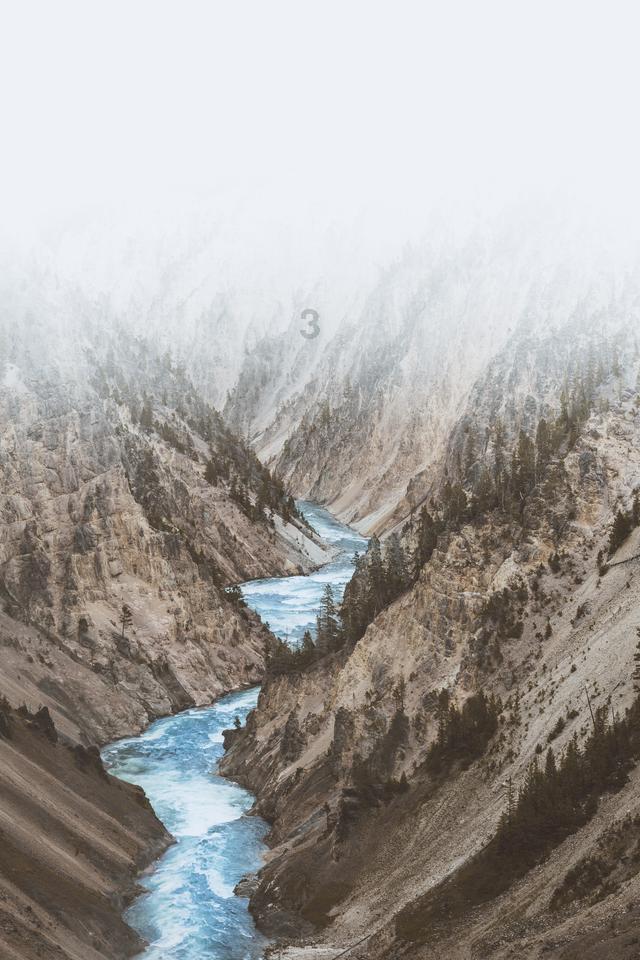 黄鸟逃生